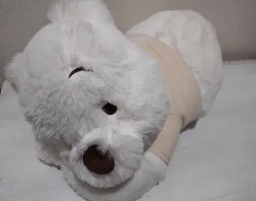 곰돌이 푸 누워있는 봉제 인형