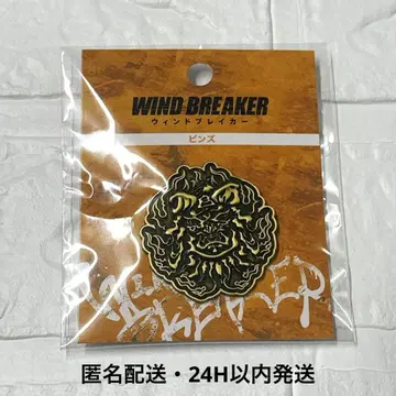 영화 WIND BREAKER 핀즈 사자머리 연