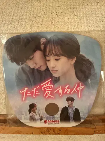 부채 다만 사랑하는 사이 준호