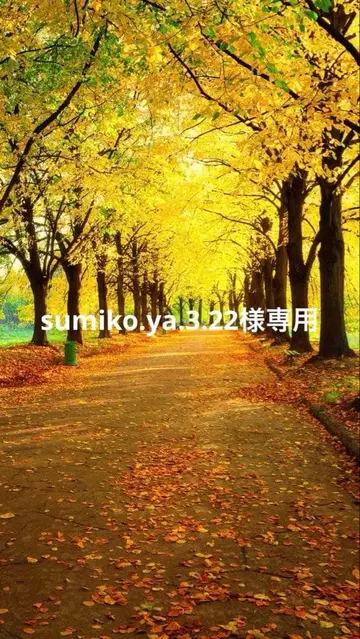 레진 키링 백참