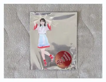 [ 아크릴 스탠드 ] AKB48 야마우치 미즈키 씨