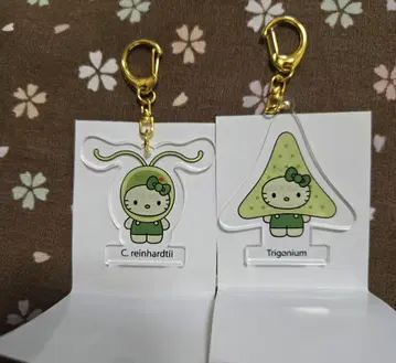 만박 일본관 Hello Kitty 아크릴 키링 2종 세트