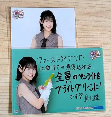 로지 크로니클 투어 콜렉션 사진 First Page! 시마카와 나나 세트