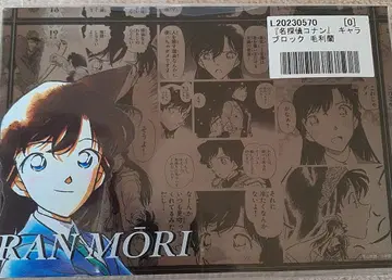 명탐정 코난 캐릭터 블록 유미란(모리 란)