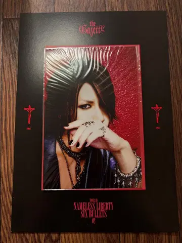 the GazettE 라이브 팜플렛