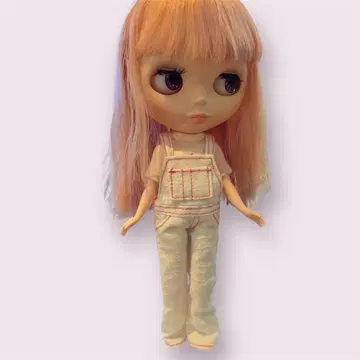 브라이스 네오 브라이스 커스텀 완료