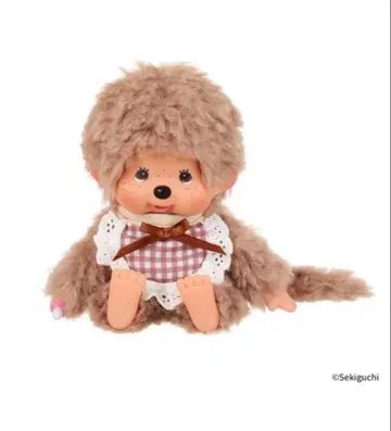 복슬복슬 스위트 브라운 몽치치