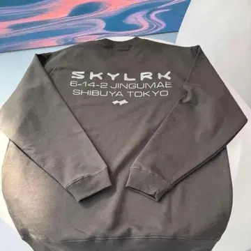 L 사이즈 SKYLRK 스카이 팝업 크루넥