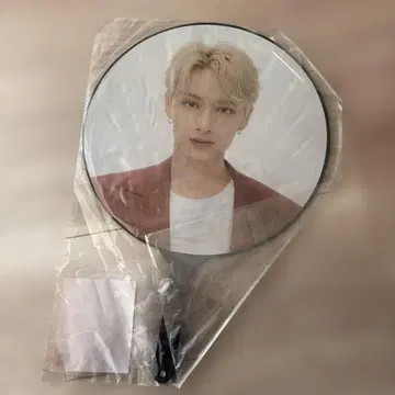 SEVENTEEN JUN 부채