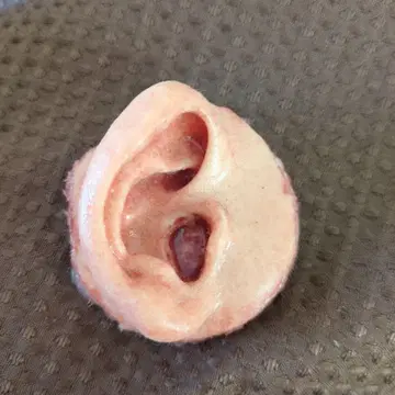 왼쪽 귀 캔뱃지