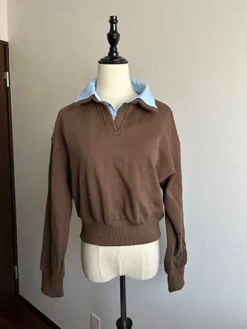 callautia / 카라우티아