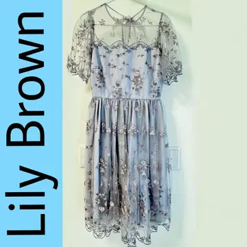 [ Lily Brown ] 블루 그레이 꽃무늬 자수 드레스