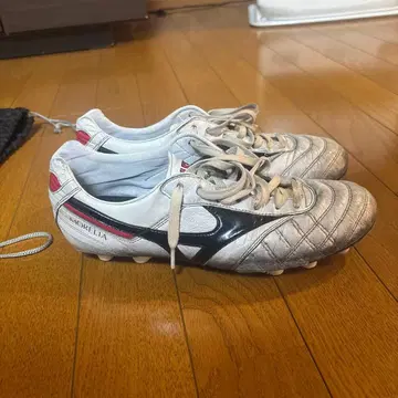 모렐리아 2 JAPAN