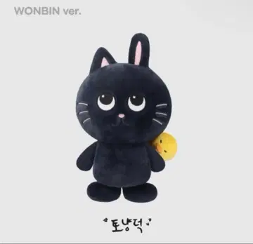 RIIZE 원빈 토냐도크 40cm 봉제 인형