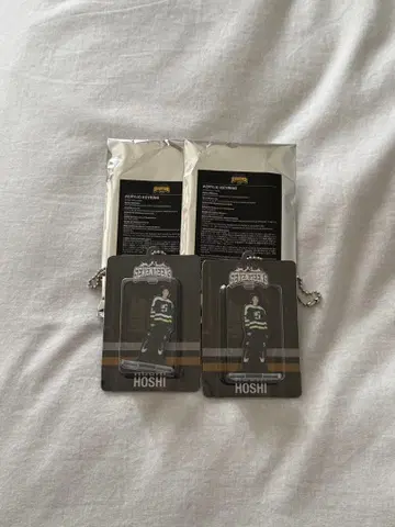 SEVENTEEN 호시 키링