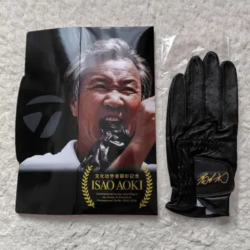ISAO AOKI 골프 그로브 블랙