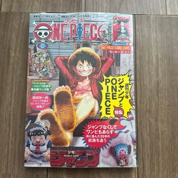 NEPTEG magazine ONE PIECE 특집 원피스 매거진