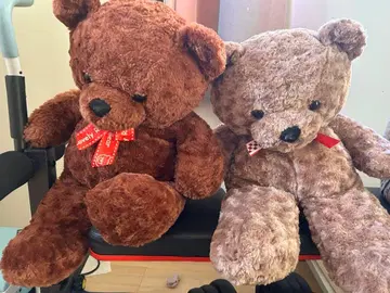 테디베어 봉제 인형 브라운 베이지 2마리