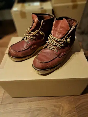 레드윙 8131 깃털 택 26.0 RED WING 아이리쉬 세터