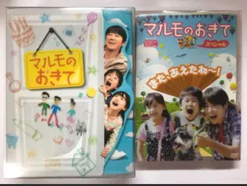 마루모의 규칙 DVD BOX