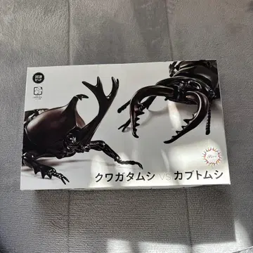 사슴벌레 VS 장수풍뎅이 조립 키트