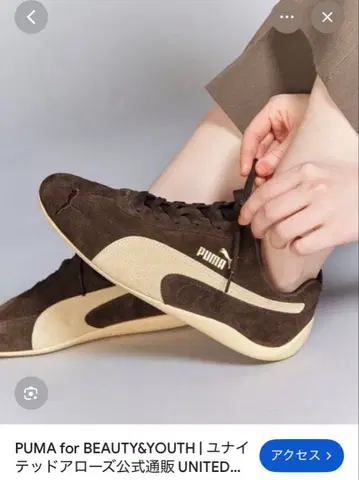 스피드캣 좋아요는 삼가주세요