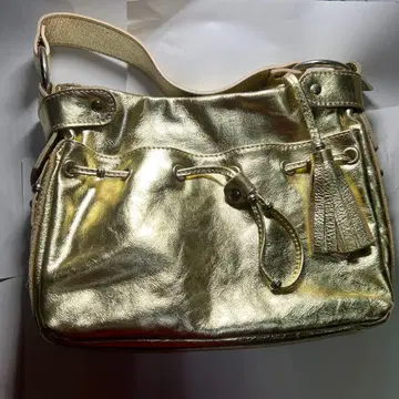 GIANNI CHIARINI 골드 핸드백