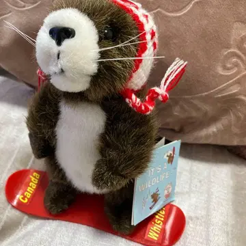 레어 캐나다 비버 봉제 인형
