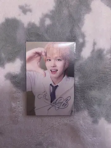 AHOF 박주원 한류 타워 레코드 혜택 트레이딩 카드 주원