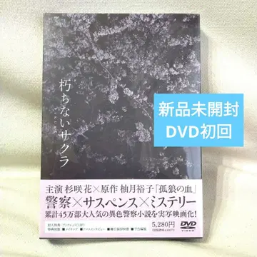 미개봉 새상품 하기와라 리큐 쿠치나이 사쿠라 DVD 초회 소책자 메이킹