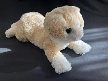 Sunlemon 고양이 봉제 인형 Sunlemon