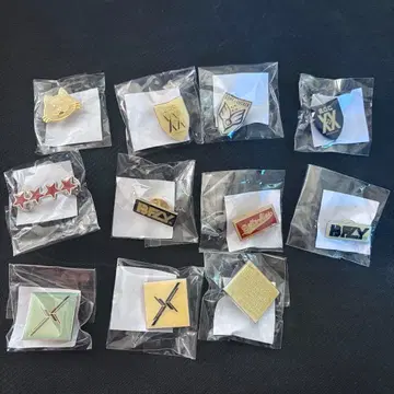 BUMP OF CHICKEN 핀 배지 세트