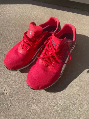 Puma 러닝화 레드/네이비