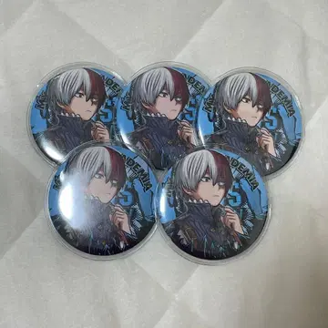 토도로키 쇼토 캔뱃지 5개 십걸 원작 컬렉션