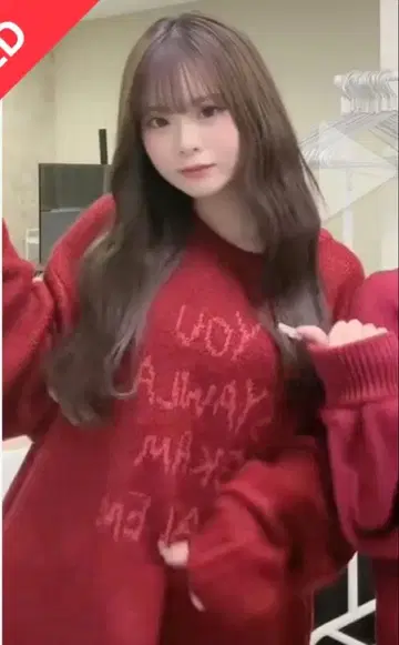 JEANASIS 5G 자카드 로고 BIG 풀오버 틱톡 사쿠라짱 착용