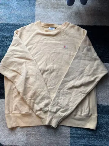 Champion Reverse Weave 트레이닝복 L