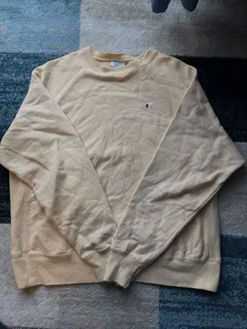 Champion Reverse Weave 트레이닝복 L