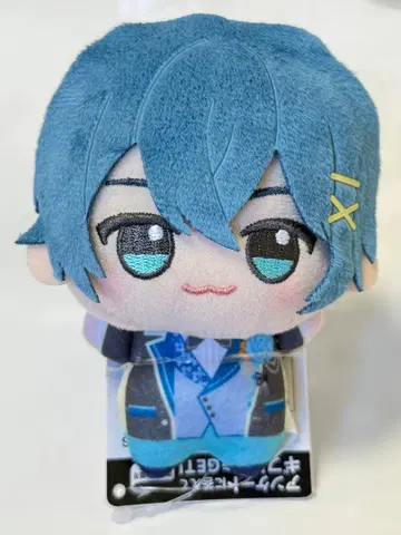 AMPTAK x COLORS 치구사군