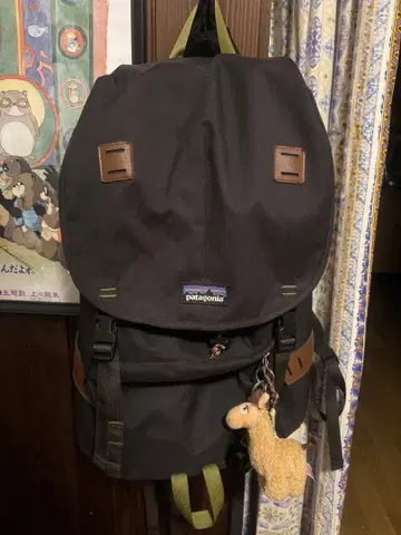 patagonia 백팩 블랙