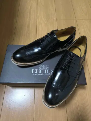 미사용 새상품 LUCIUS 루시우스 천연 가죽 레이스업 화이트 밑창 신발