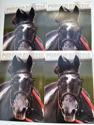 서러브레드 컬렉션 엽서 크로노 제네시스