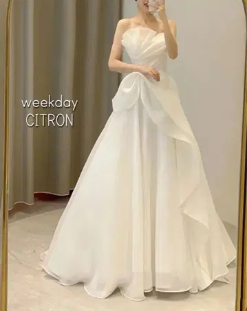 웨딩 드레스 사전 촬영