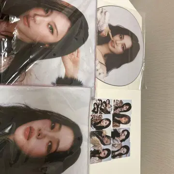 슬로건 타월 카리나 닌닌 트레이딩 카드 8장 부채 카리나 묶음 판매