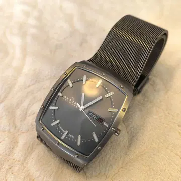 SKAGEN 스카겐 396LTTM 메쉬