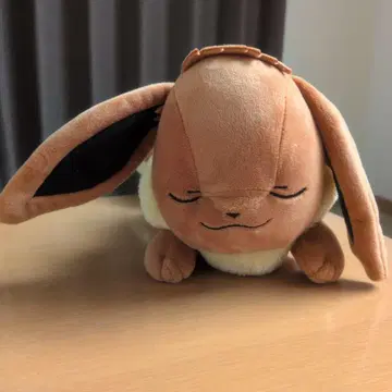 이브이 봉제 인형 한국