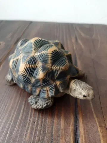 STARTORTOISE 호시가아메 피규어 입상 오브제 거북이 스타토이즈