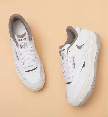 클럽 씨 엑스트라 CLUBCEXTRA 리복 Reebok 100208961