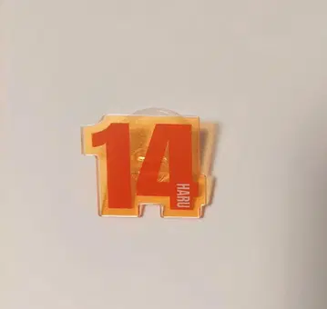 초특급 응원봉 액세서리 하루 14호차