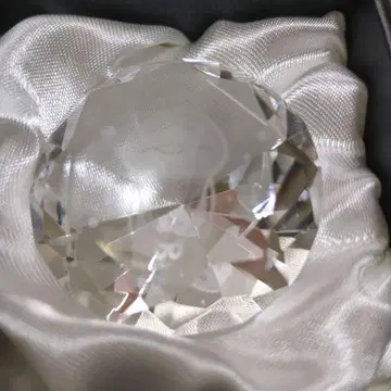 [ 새상품급 ] 만지작 탐정 버섯 재배 키트 크리스탈 다이아