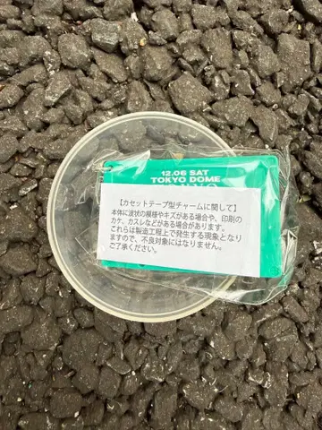 B'z LIVE-GYM 2025 -FYOP- 가챠 12/6 카세트 참